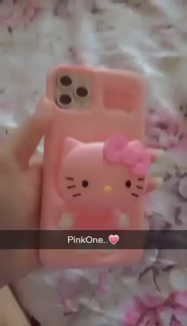 3D Pink Hello Kitty Case with Holder (NEW)